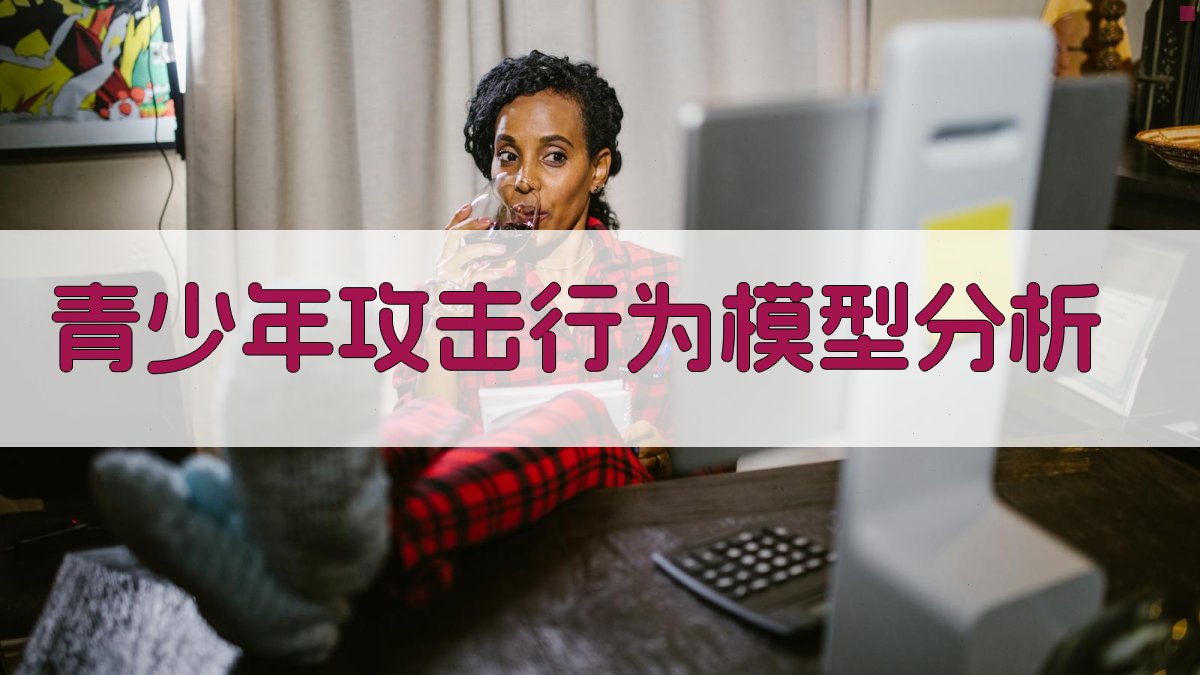 青少年攻击行为模型分析