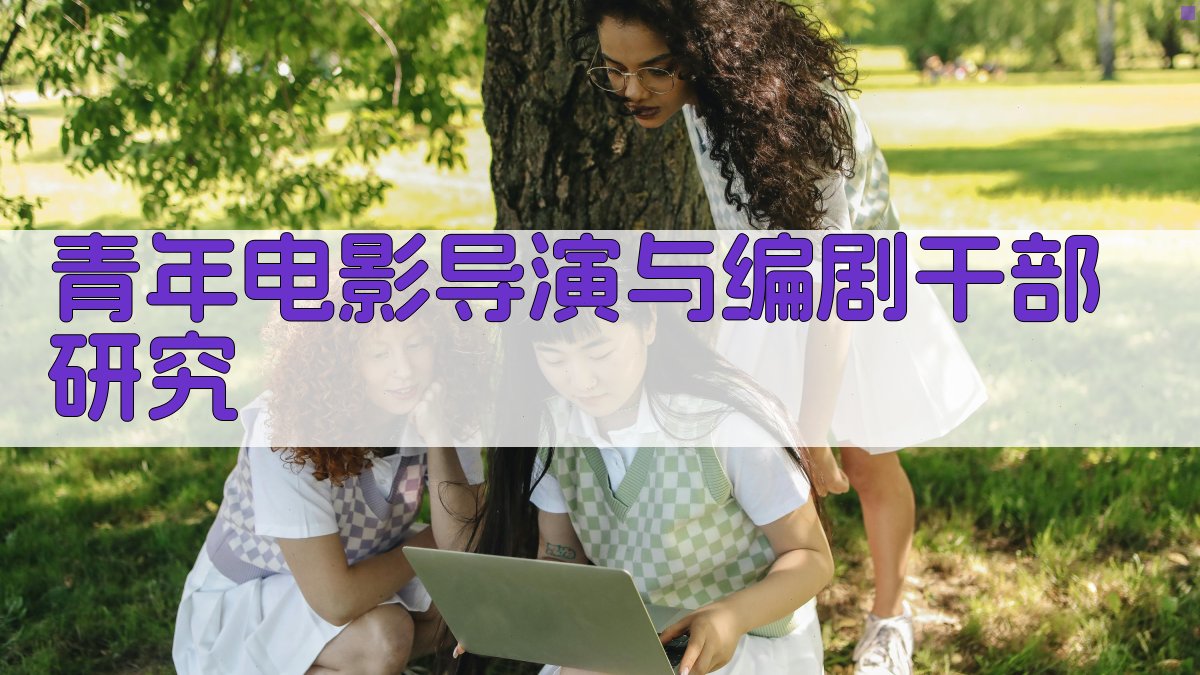 青年影视人才管理研究