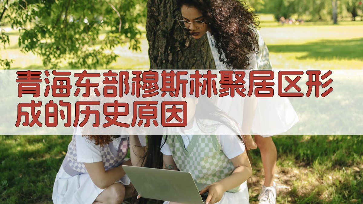 AI历史成因分析