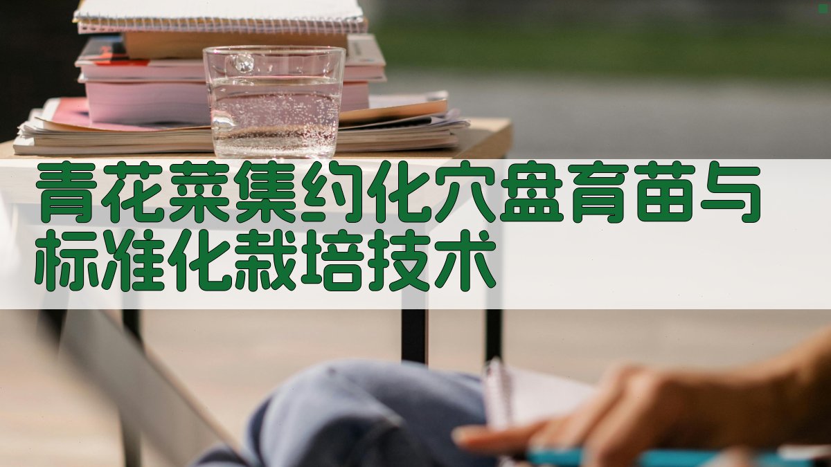 青花菜集约化穴盘育苗与标准化栽培技术
