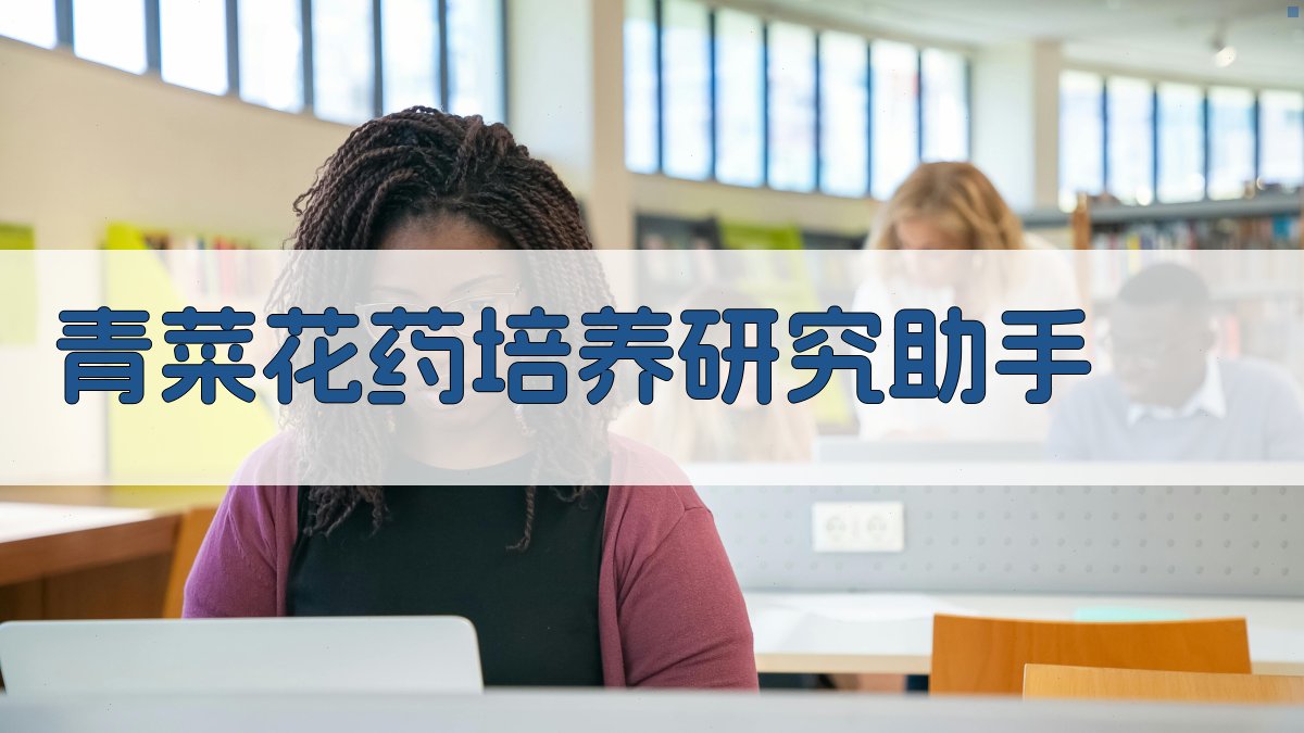 青菜花药培养研究助手