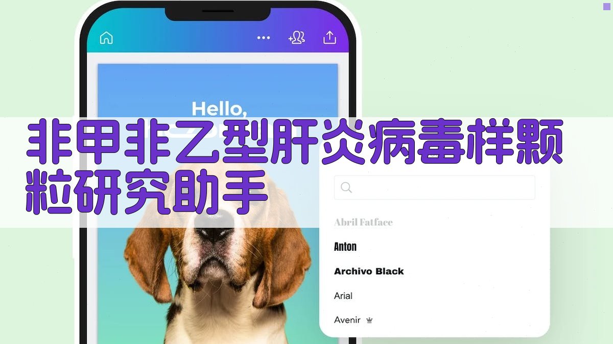 非甲非乙型肝炎病毒样颗粒研究助手