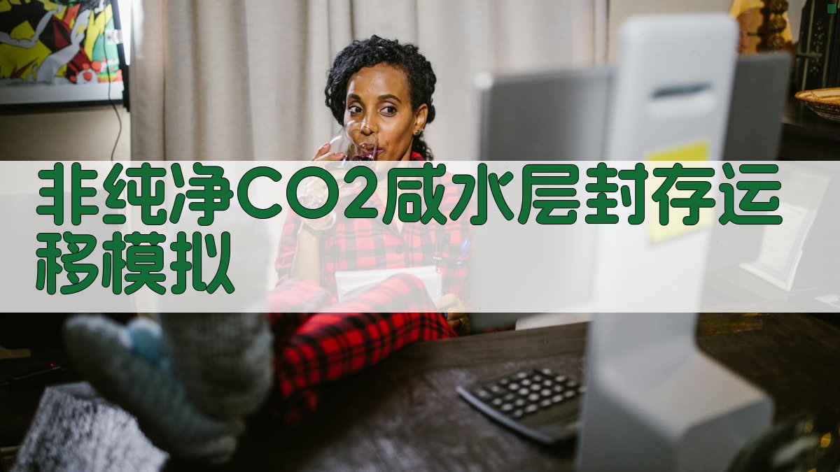 非纯净CO2咸水层封存运移模拟