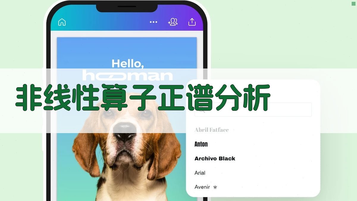 非线性算子极限算子正谱分析