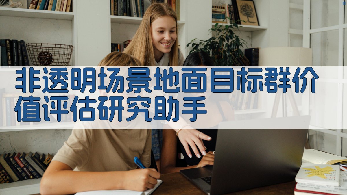 非透明场景地面目标群价值评估研究助手