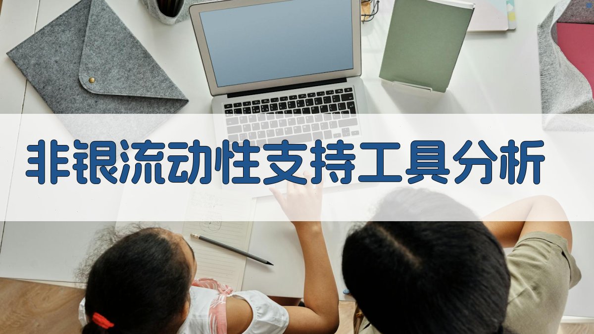 非银流动性支持工具分析