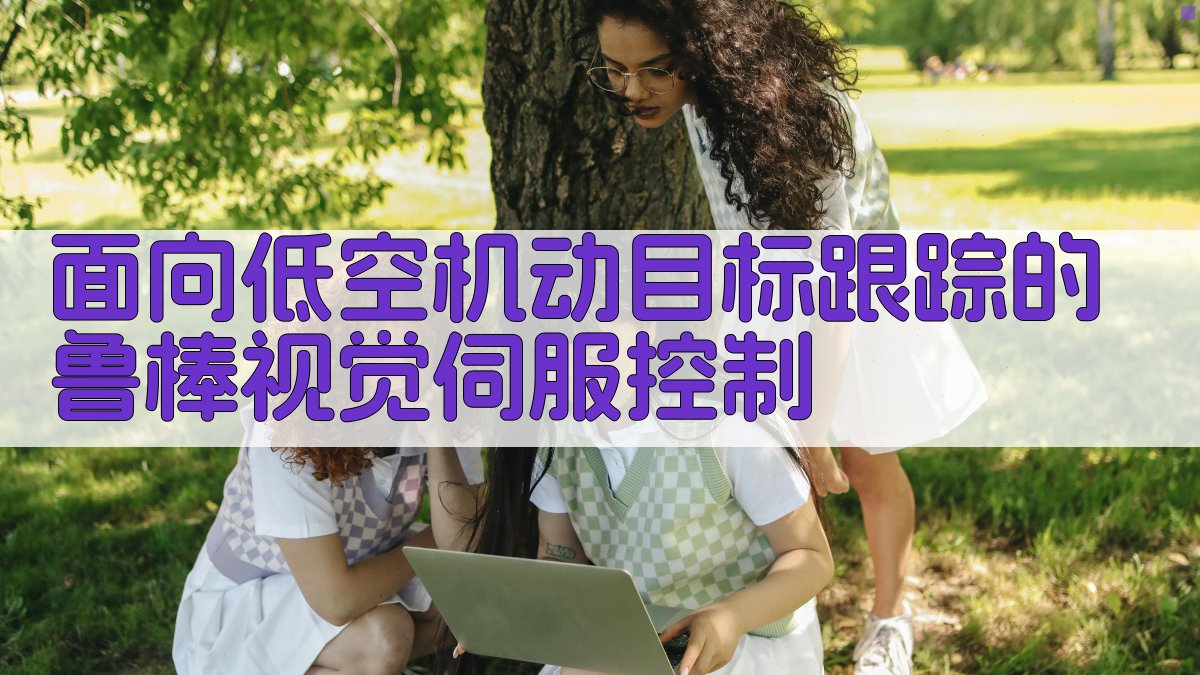 面向低空机动目标跟踪的鲁棒视觉伺服控制