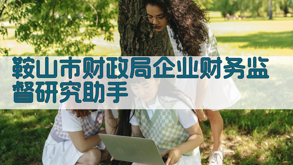 AI财务监督工作分析