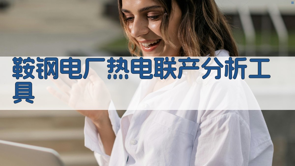 鞍钢电厂热电联产分析工具