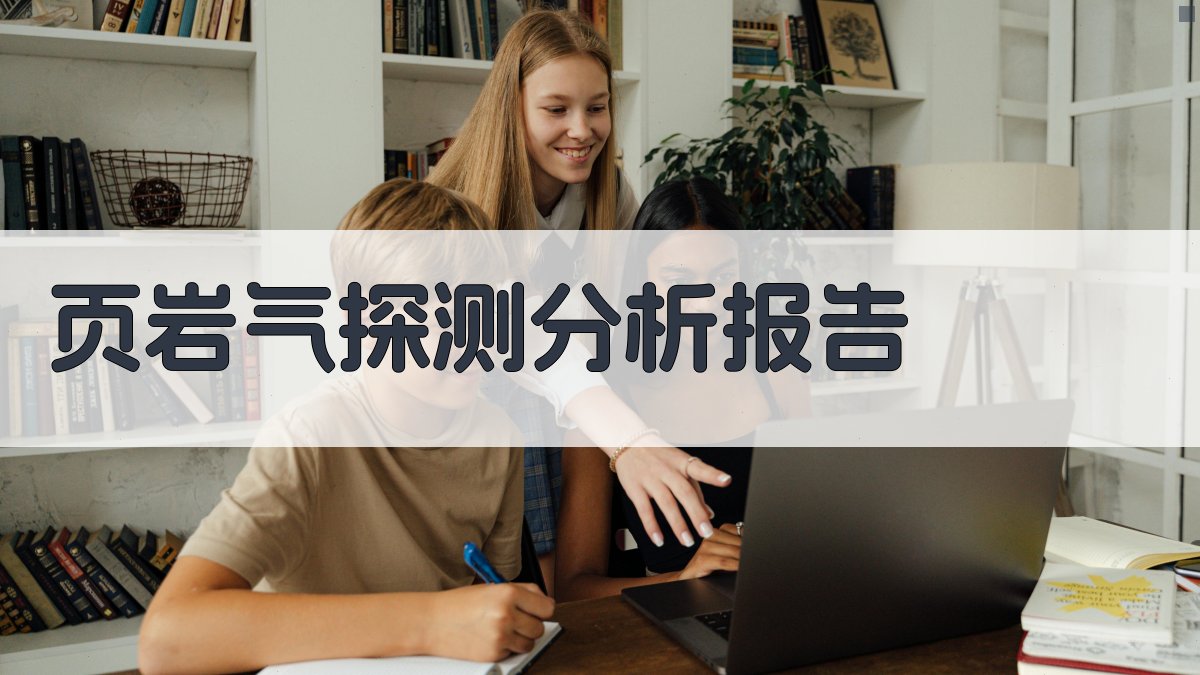 AI页岩气探测分析报告生成器