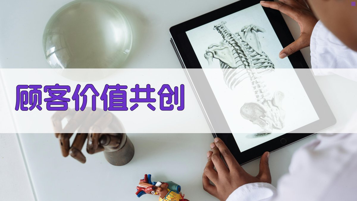 AI顾客价值共创行为研究