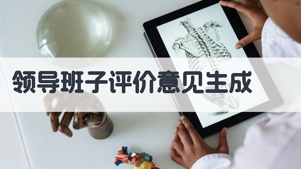 AI领导班子评价意见生成