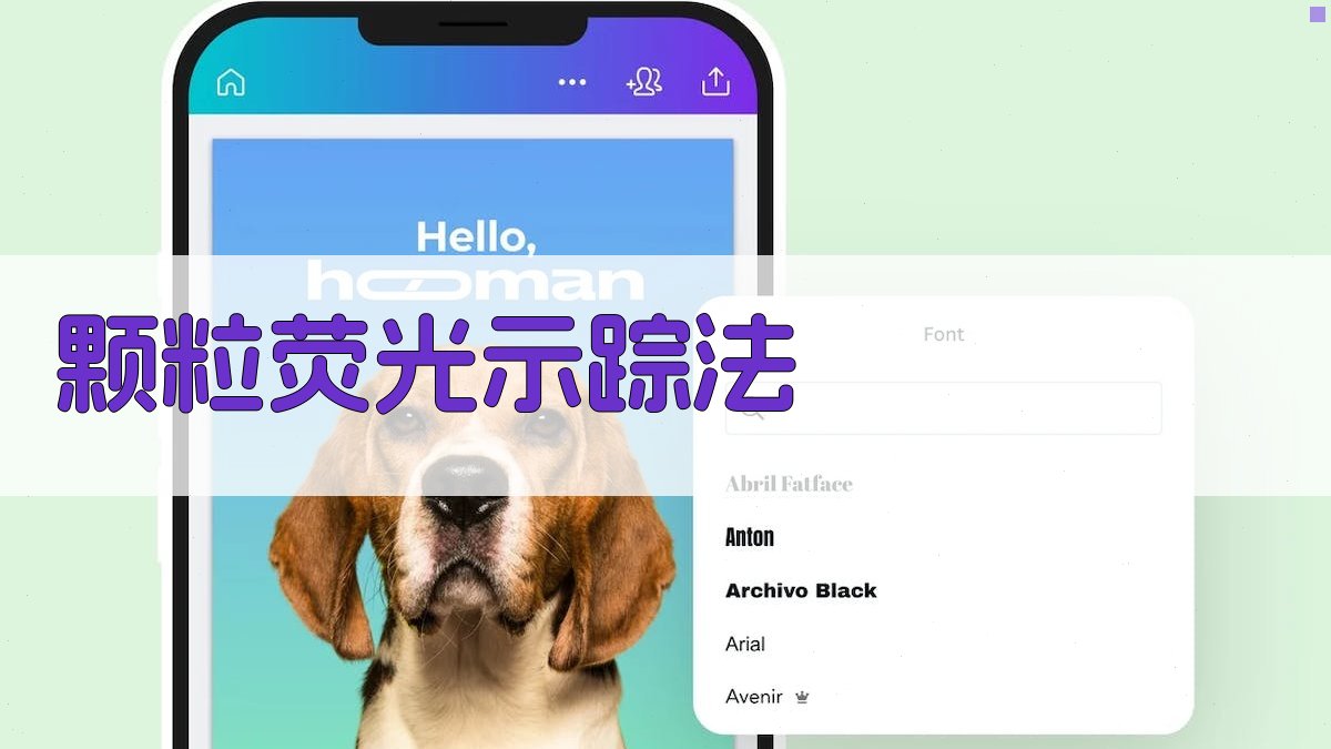 颗粒荧光示踪法分析工具