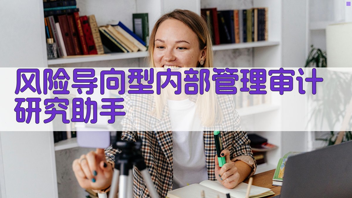 风险导向型内部管理审计研究助手