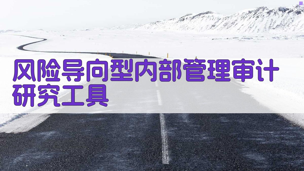 风险导向型内部管理审计研究工具