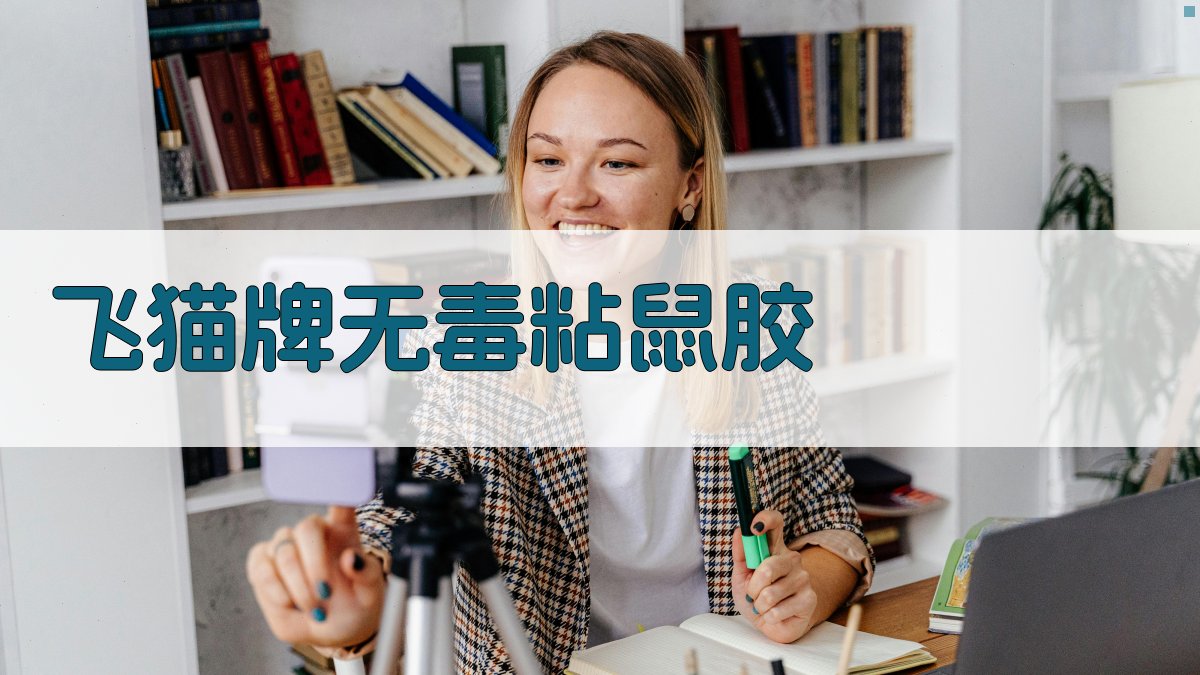 飞猫牌无毒粘鼠胶