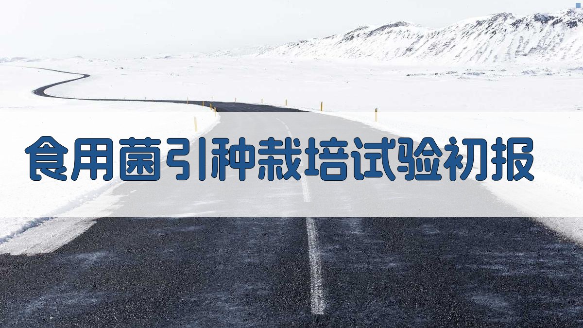 AI一键生成食用菌引种栽培试验初报