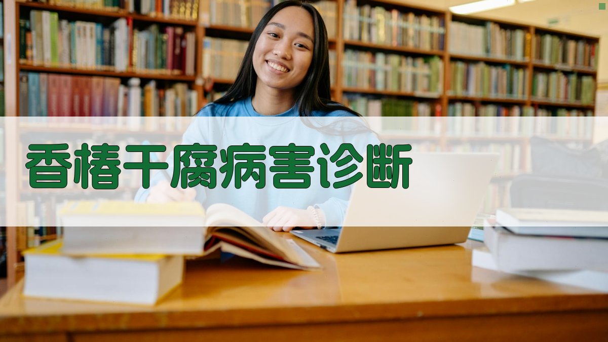 香椿干腐病害诊断