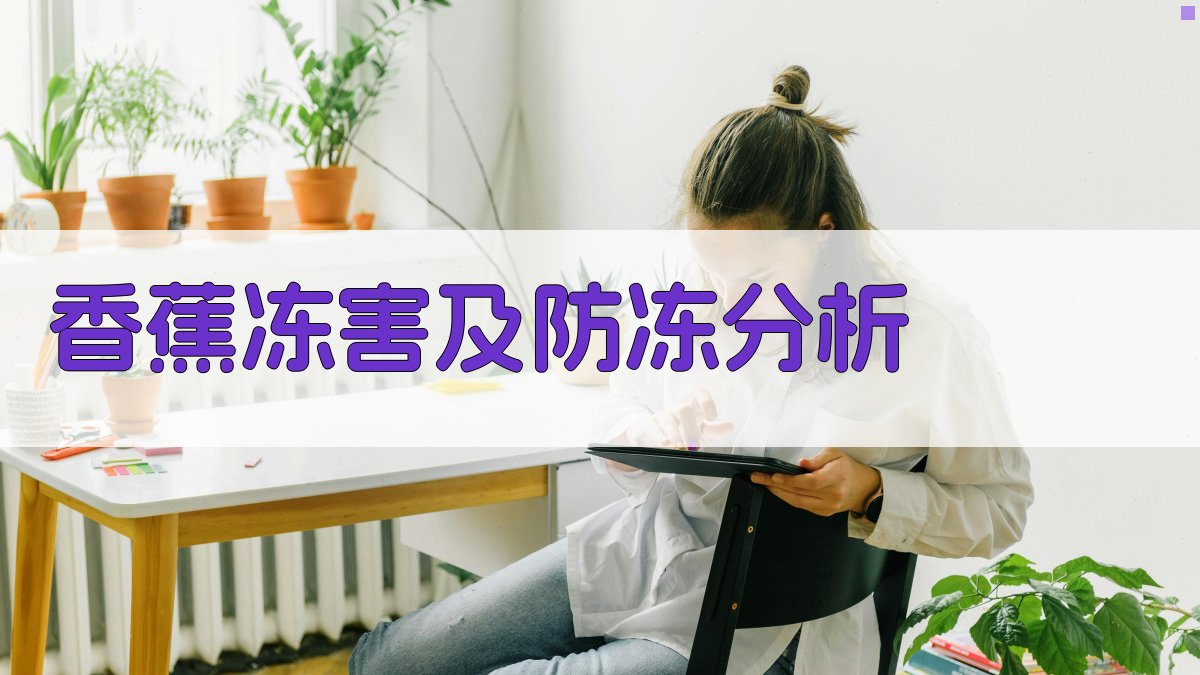 AI香蕉冻害及防冻分析工具