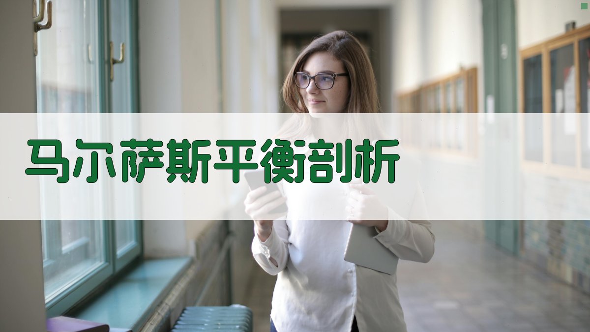 对“马尔萨斯式的平衡”的剖析