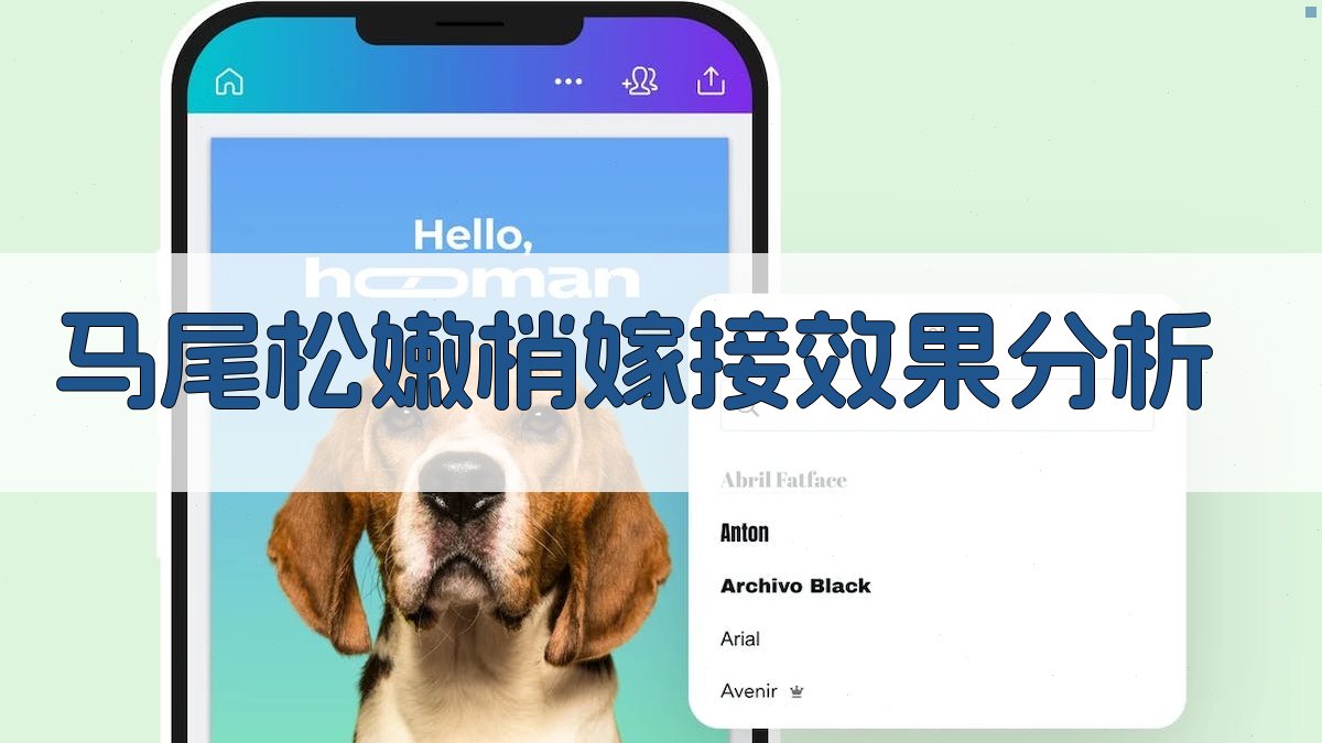 AI马尾松嫩梢嫁接效果分析