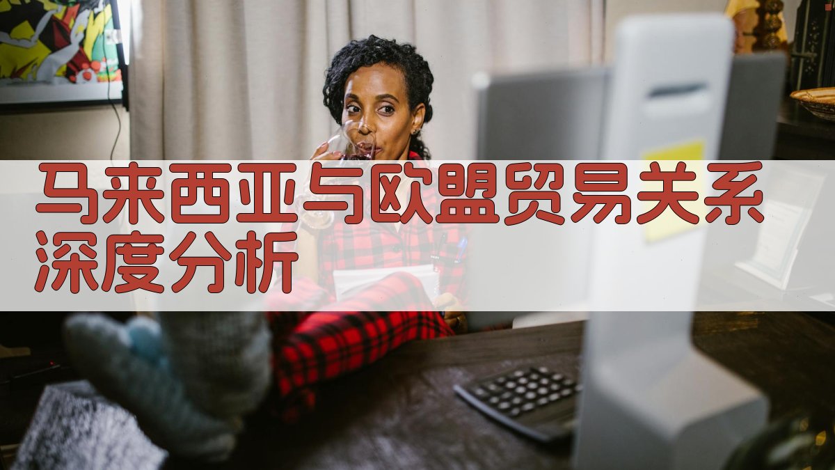 马来西亚与欧盟贸易关系深度分析