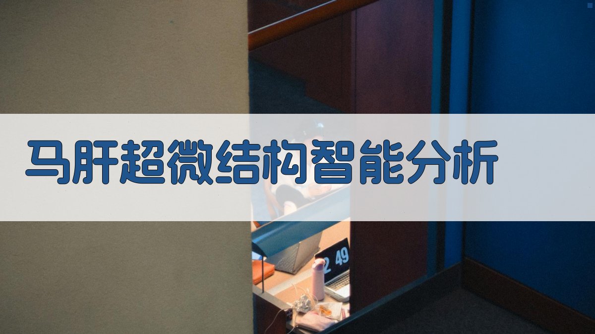 马肝超微结构智能分析