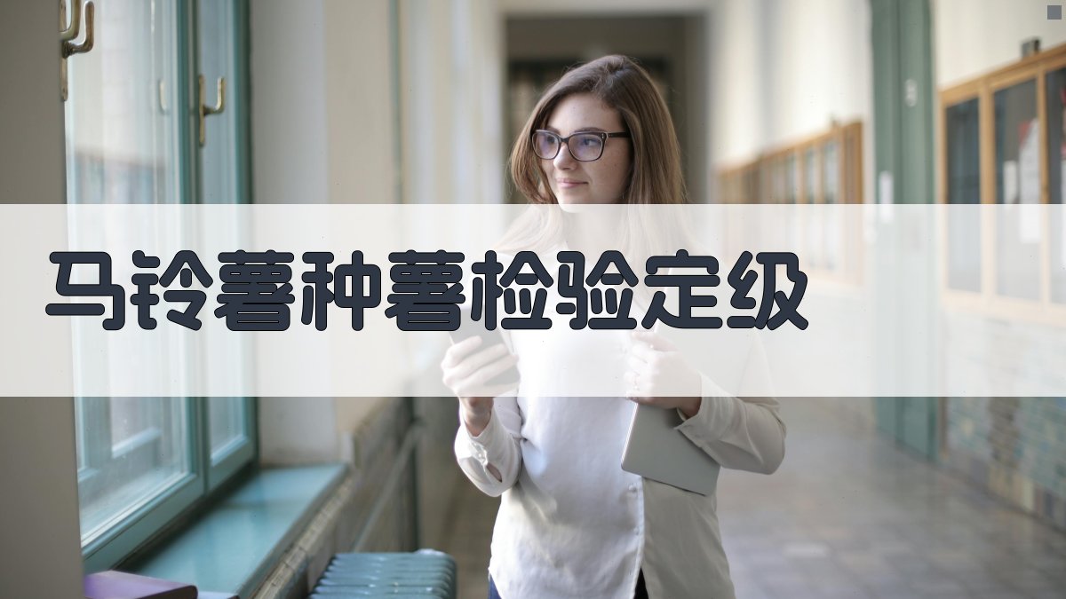 AI马铃薯种薯检验定级