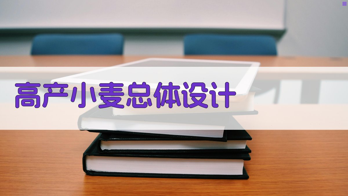 AI高产小麦总体设计