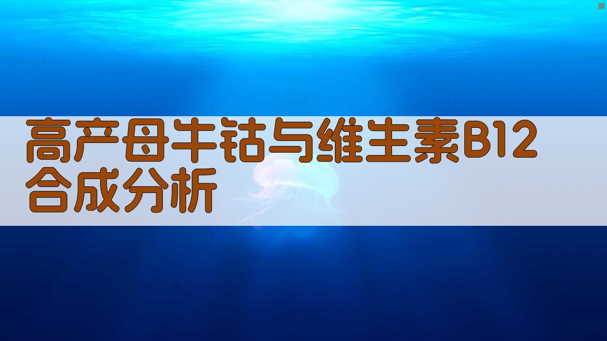 AI高产母牛钴与维生素B12合成分析