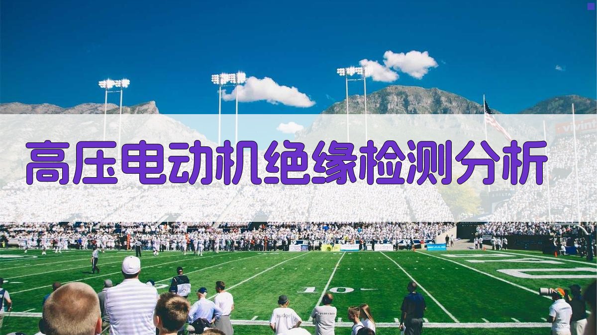 高压电动机绝缘检测分析