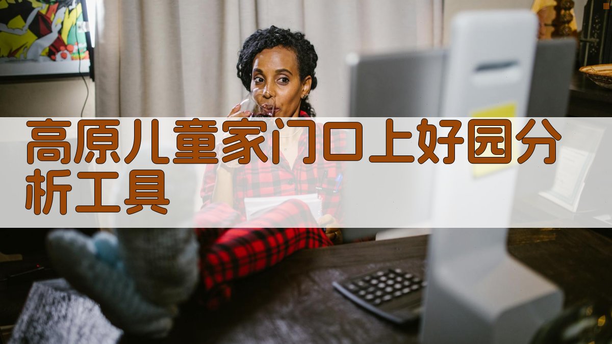高原儿童家门口上好园分析工具