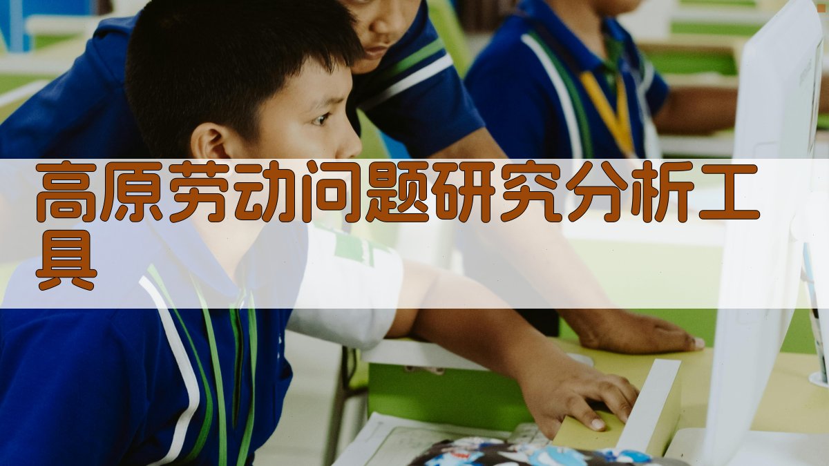 高原劳动问题研究分析工具