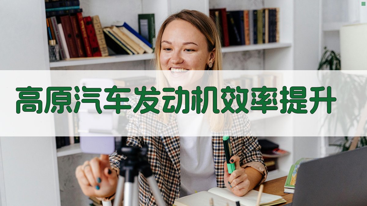 高原汽车发动机效率提升分析工具