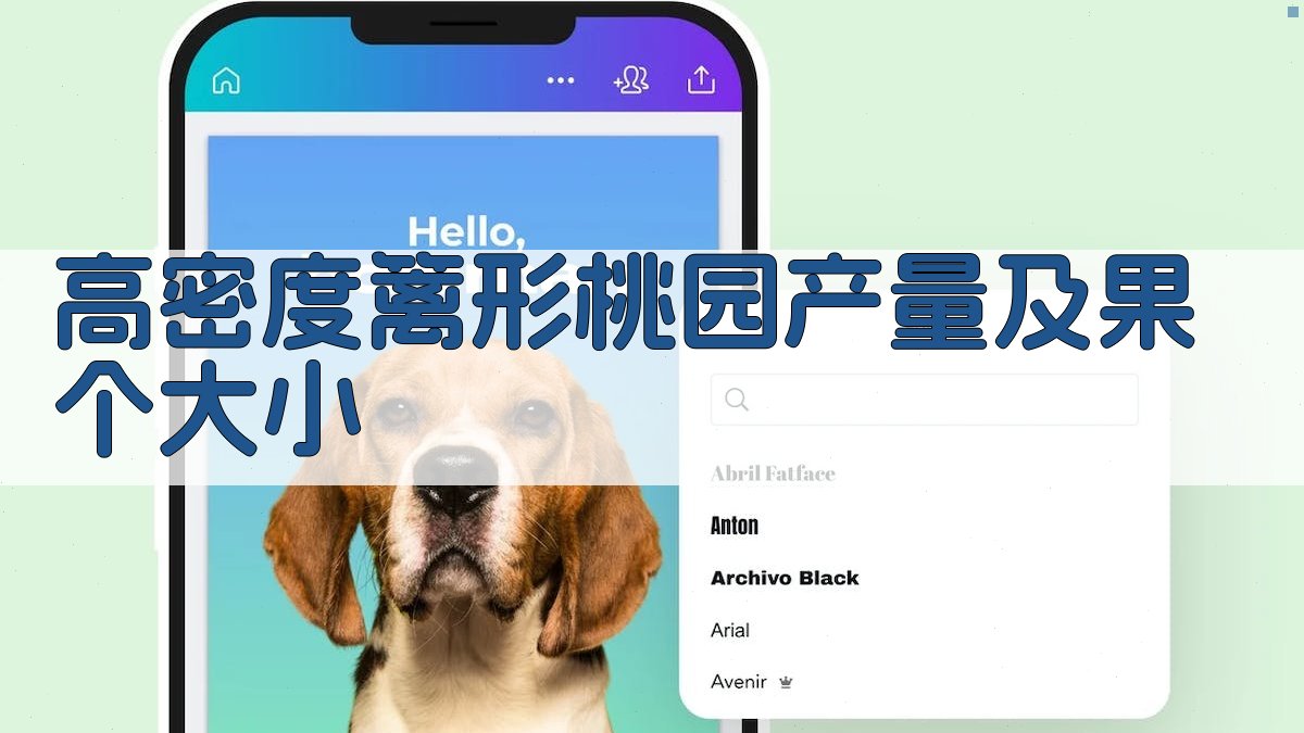 高密度篱形桃园产量及果个大小分析