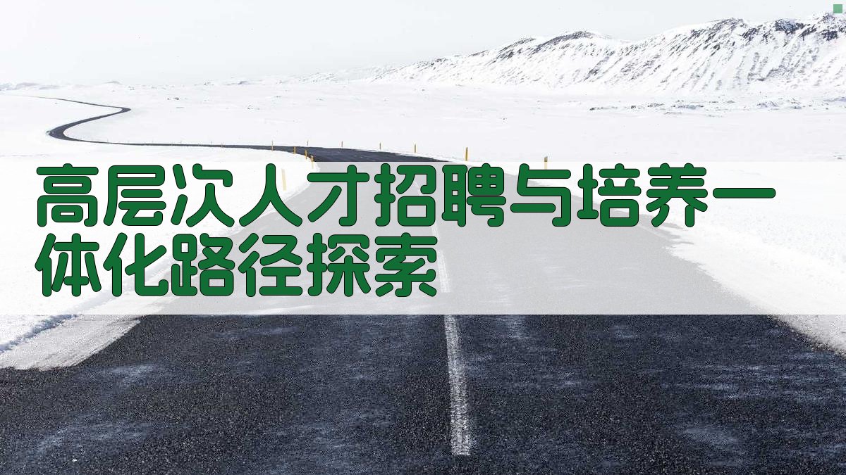 AI高层次人才招聘与培养一体化路径探索
