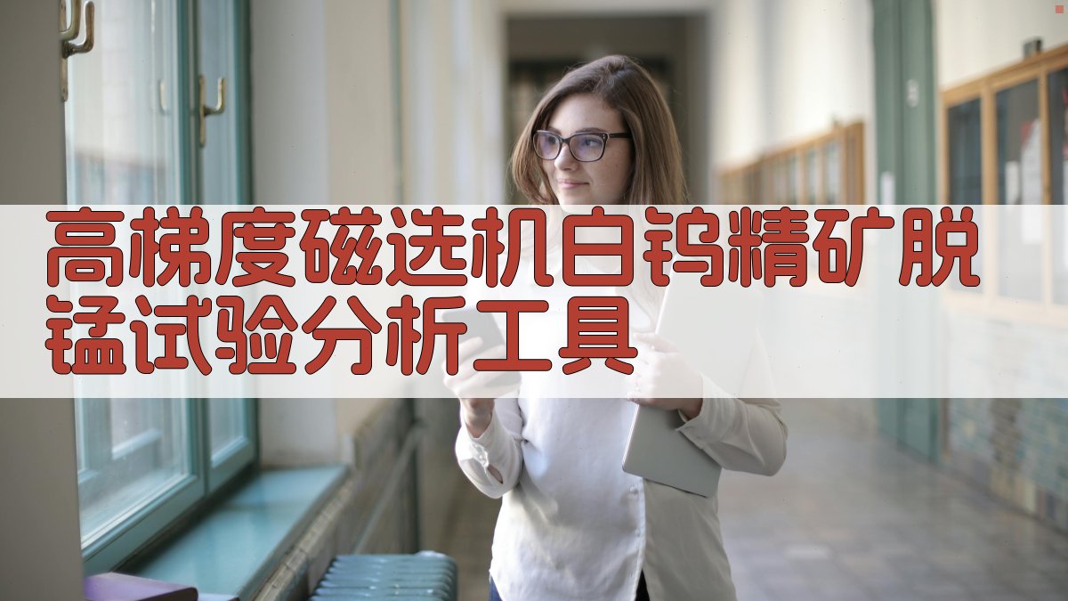 高梯度磁选机白钨精矿脱锰试验分析工具