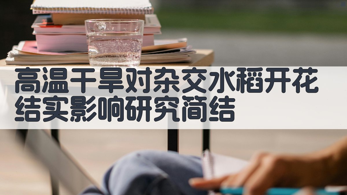 高温干旱对杂交水稻开花结实影响研究简结