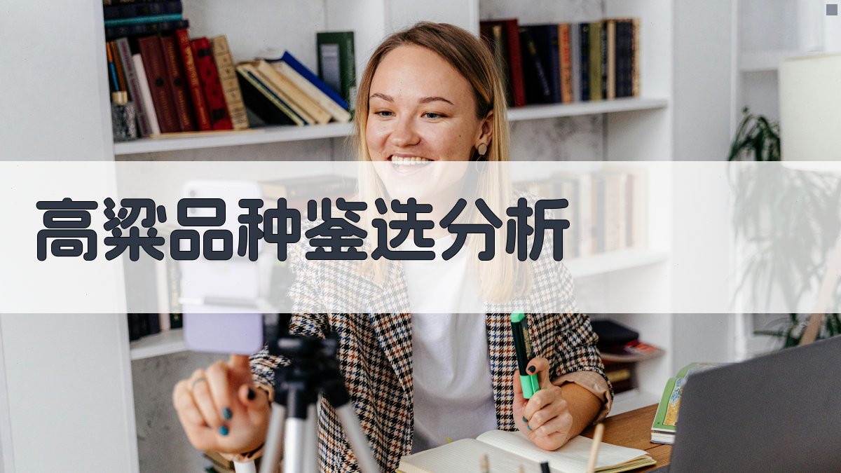 AI高粱品种鉴选分析器