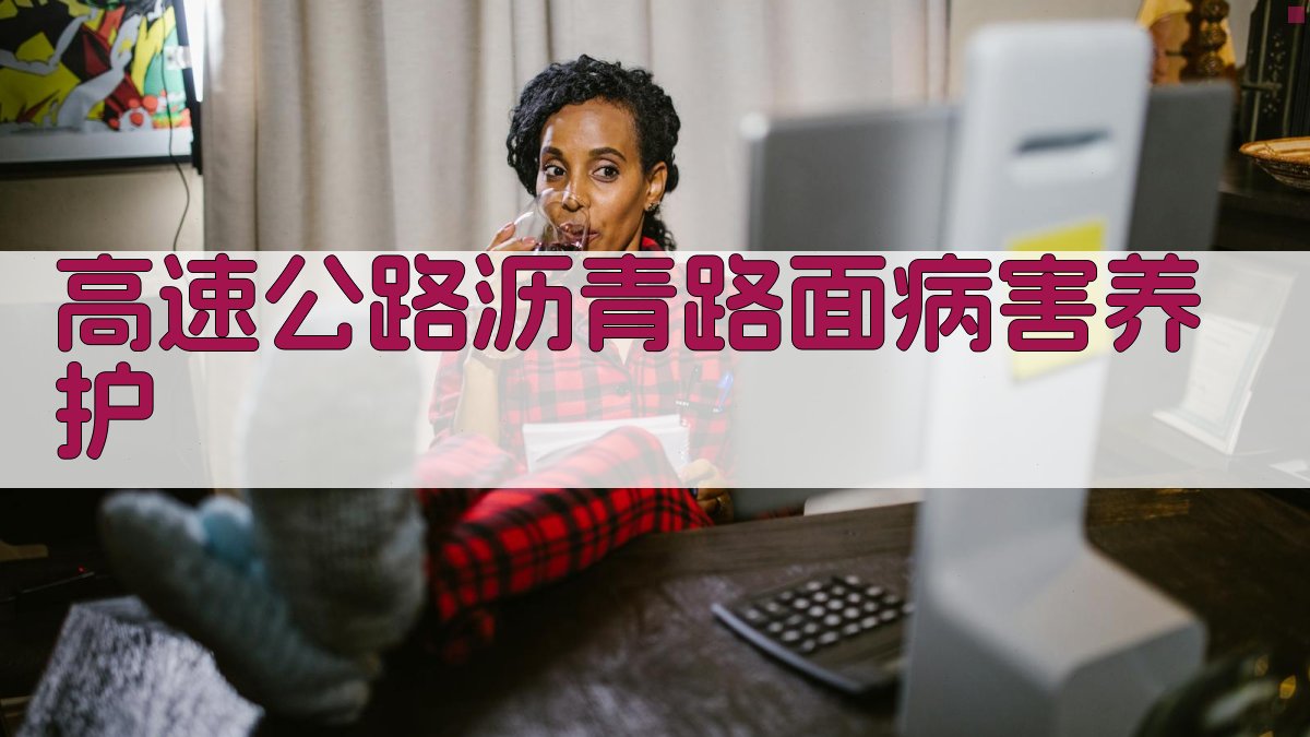 AI智能高速公路沥青路面病害分析与养护方案生成器