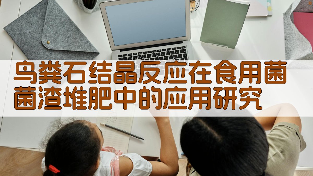 AI鸟粪石菌渣堆肥研究助手