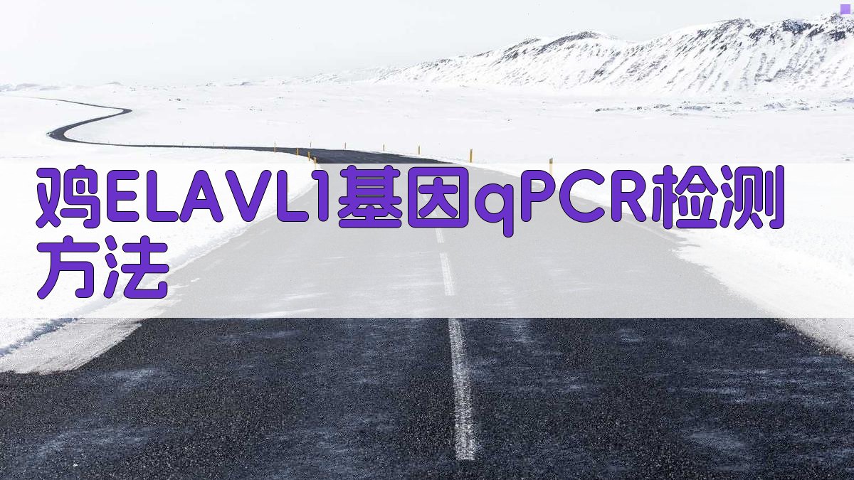 鸡ELAVL1基因qPCR检测方法