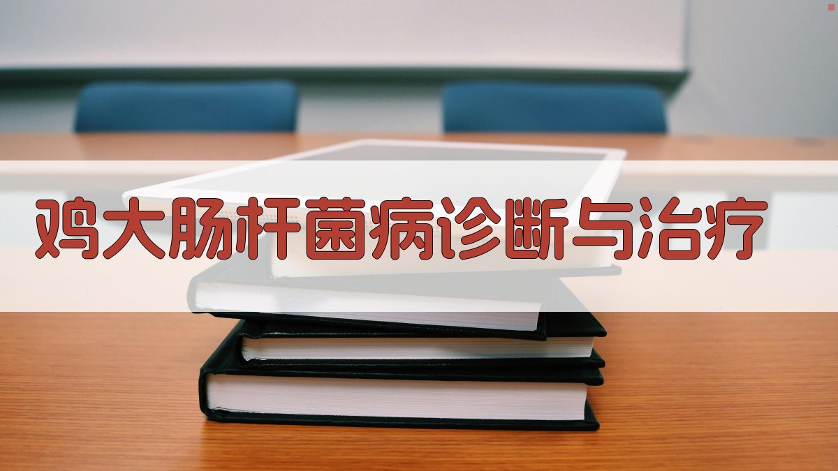 AI鸡大肠杆菌病诊断与治疗方案