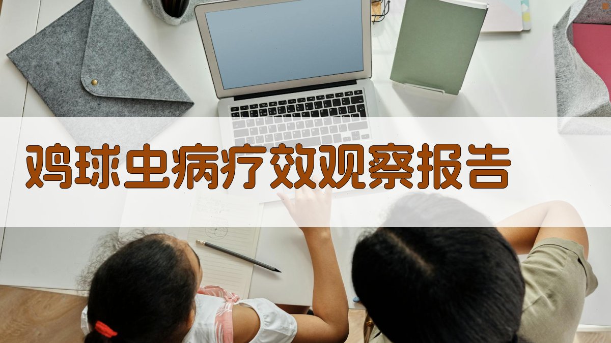 AI鸡球虫病疗效观察分析