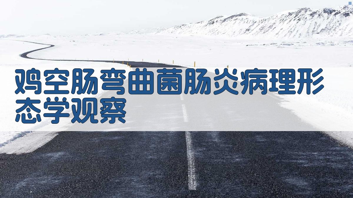 AI病理形态学分析