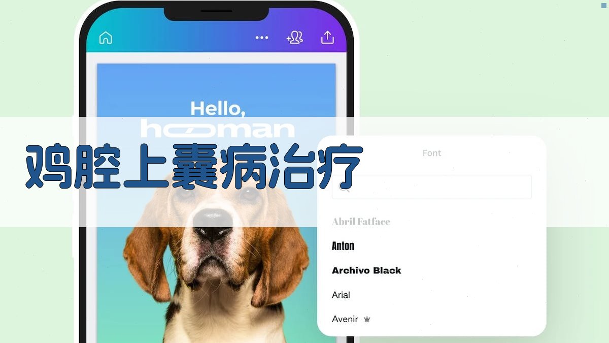 AI鸡腔上囊病治疗