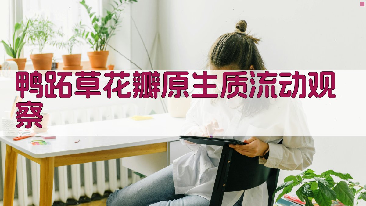 鸭跖草花瓣原生质流动观察