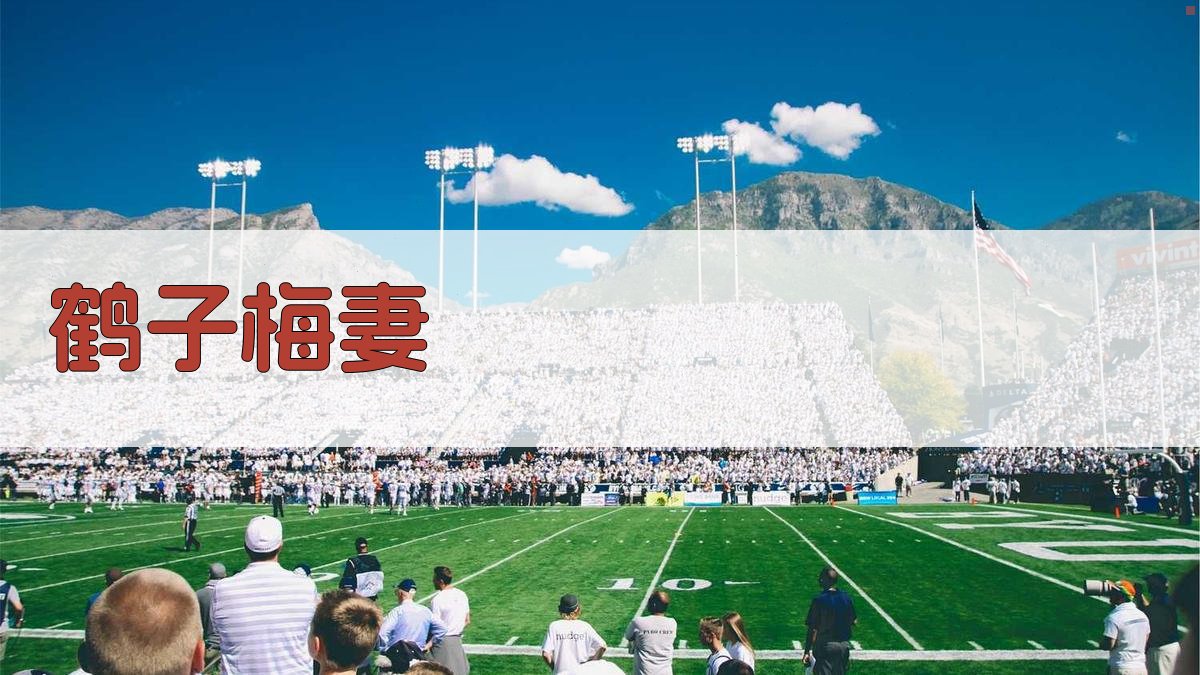 AI鹤子梅妻解析