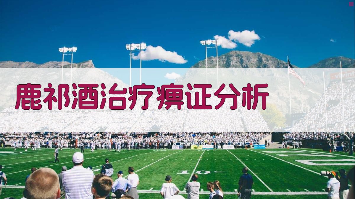 AI鹿祁酒治疗痹证分析