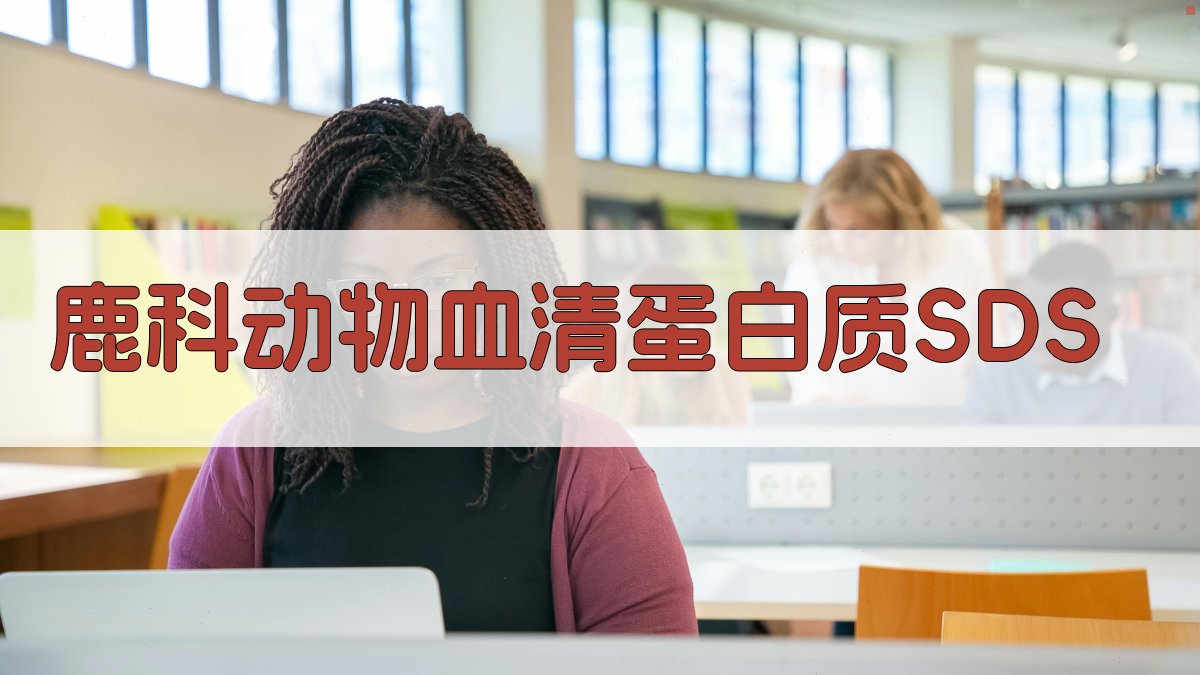 鹿科动物血清蛋白质SDS